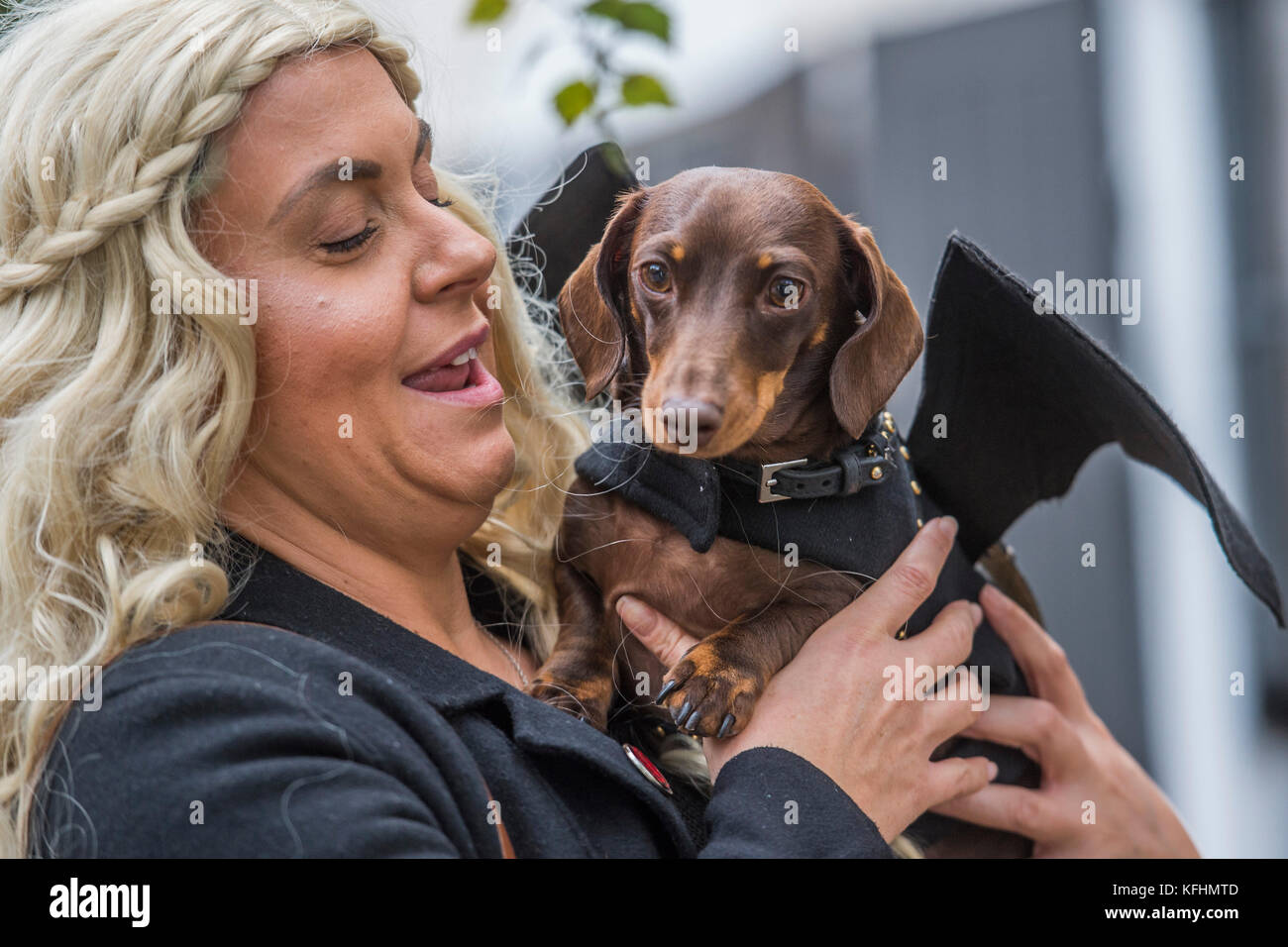 Hampstead Heath, London, UK. 29th Oct, 2017. Cyril the Dachshund - A charity Halloween dog walk and Fancy Dress Show organised by All Dogs Matter at the Spaniards Inn, Hampstead. London 29 Oct 2017. Credit: Guy Bell/Alamy Live News Stock Photo
