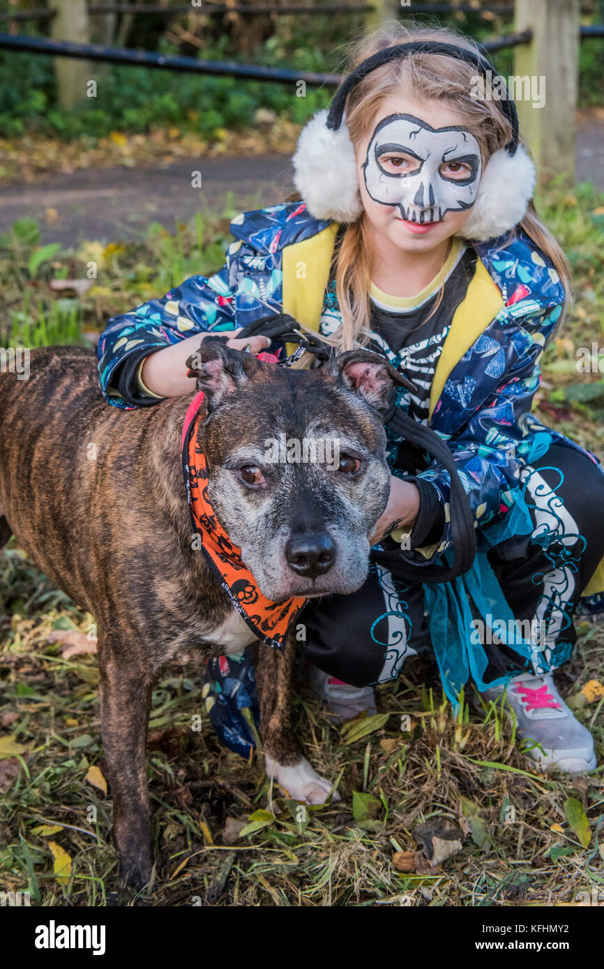 Hampstead Heath, London, UK. 29th Oct, 2017. Robin a Staffi, with Sophia - The walk on Hampstead Heath - A charity Halloween dog walk and Fancy Dress Show organised by All Dogs Matter at the Spaniards Inn, Hampstead. London 29 Oct 2017. Credit: Guy Bell/Alamy Live News Stock Photo