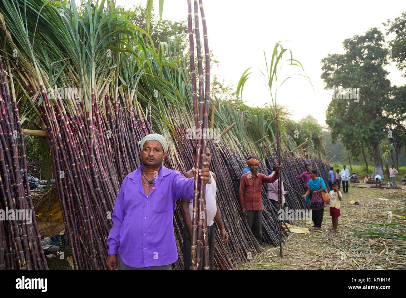 Chaibasa, Jharkhand, India, 29th October 2017: The traders are selling sugarcane in Gaushala fair. Chaibasa Gaushala celebrated its 117th historic annual Fair on 28th and 29th October 2017. Credit: MIHIR RANJAN/Alamy Live News. Stock Photo