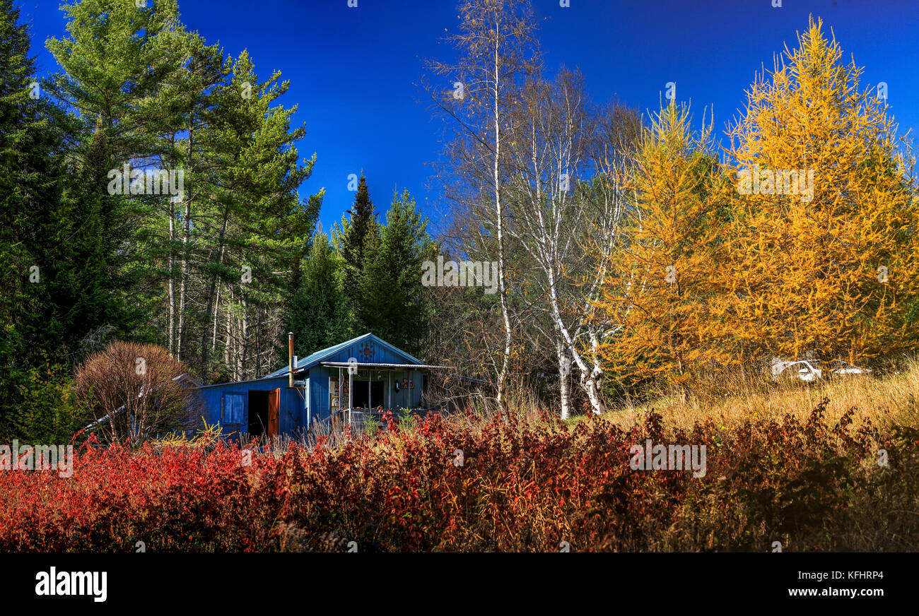 Autumn seasonal changes come to a private, family camp in Groton, VT, USA on Oct. 28th, 2017. Stock Photo