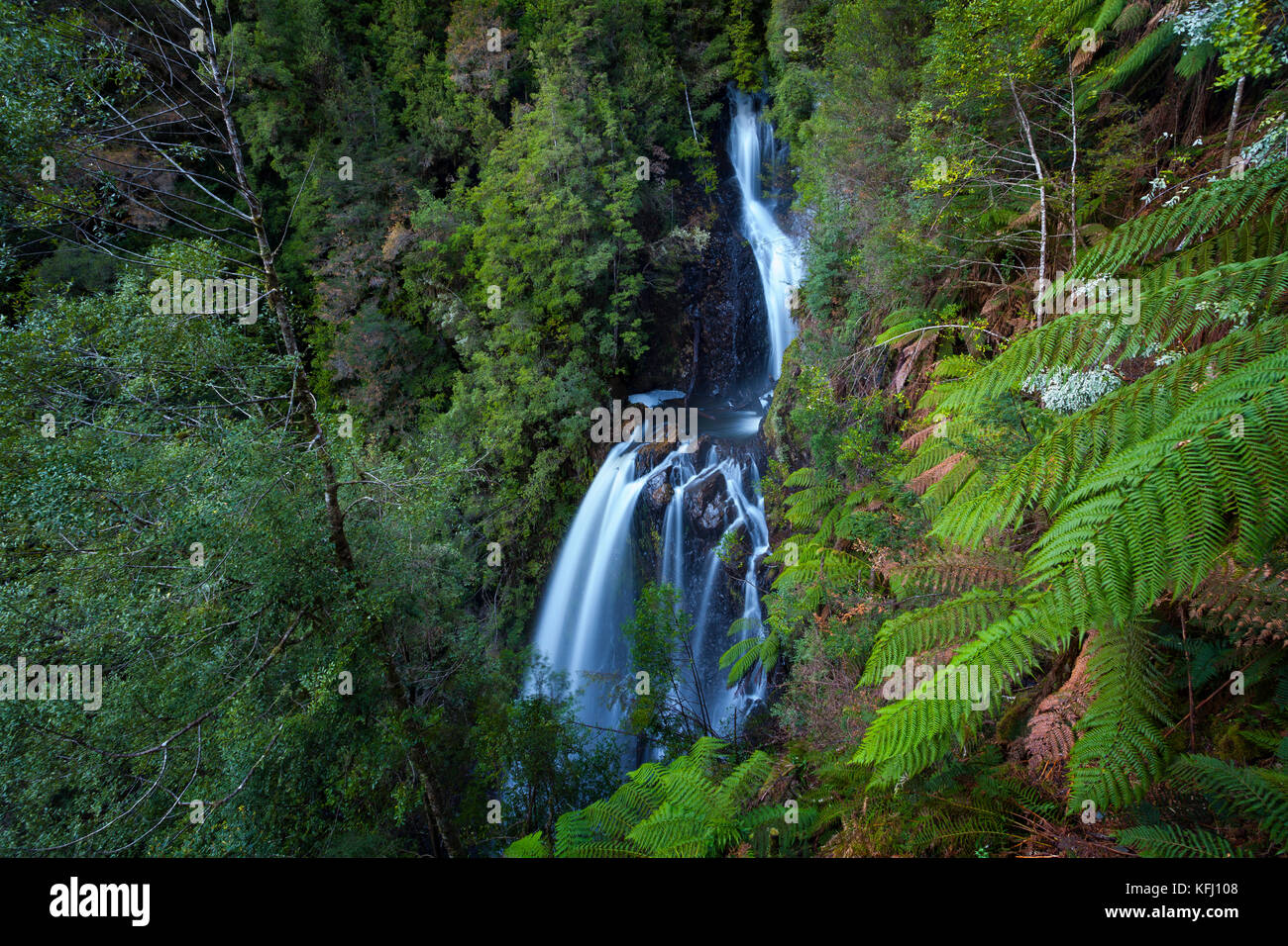Philosopher Falls - Tasmania - Australia Stock Photo