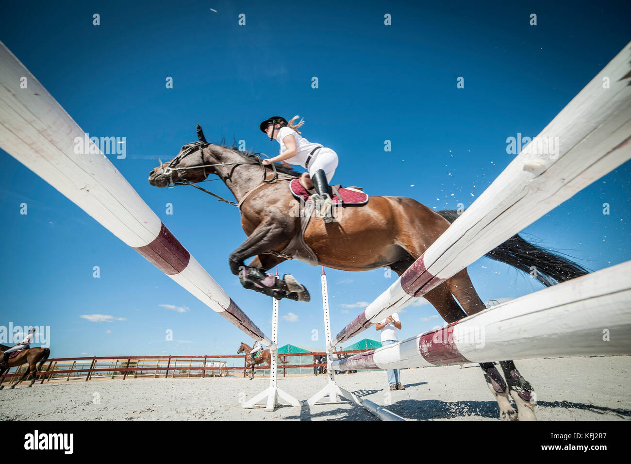 horse jumping competition Stock Photo Alamy