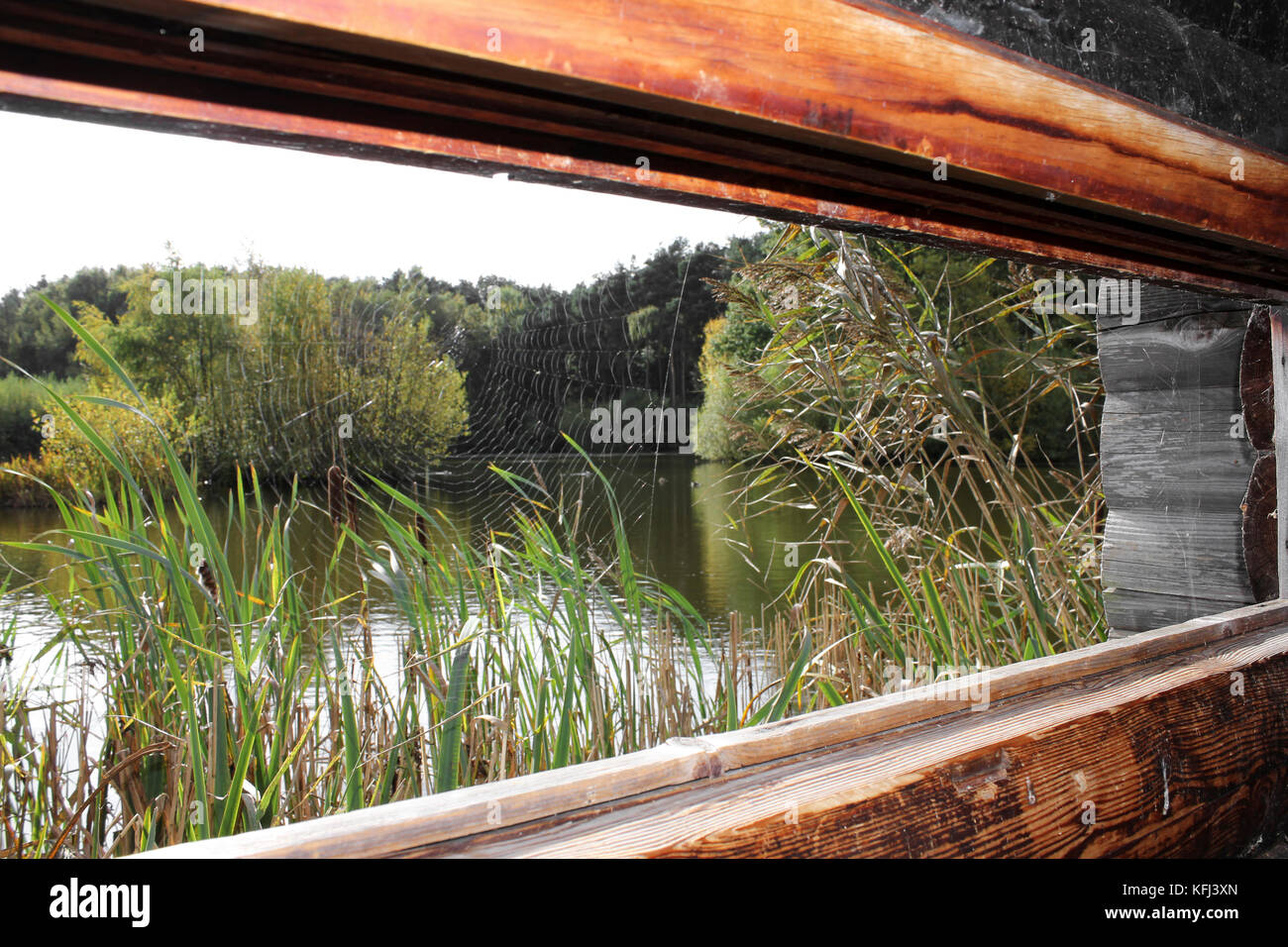 View from Bird Hide Over Pond Stock Photo