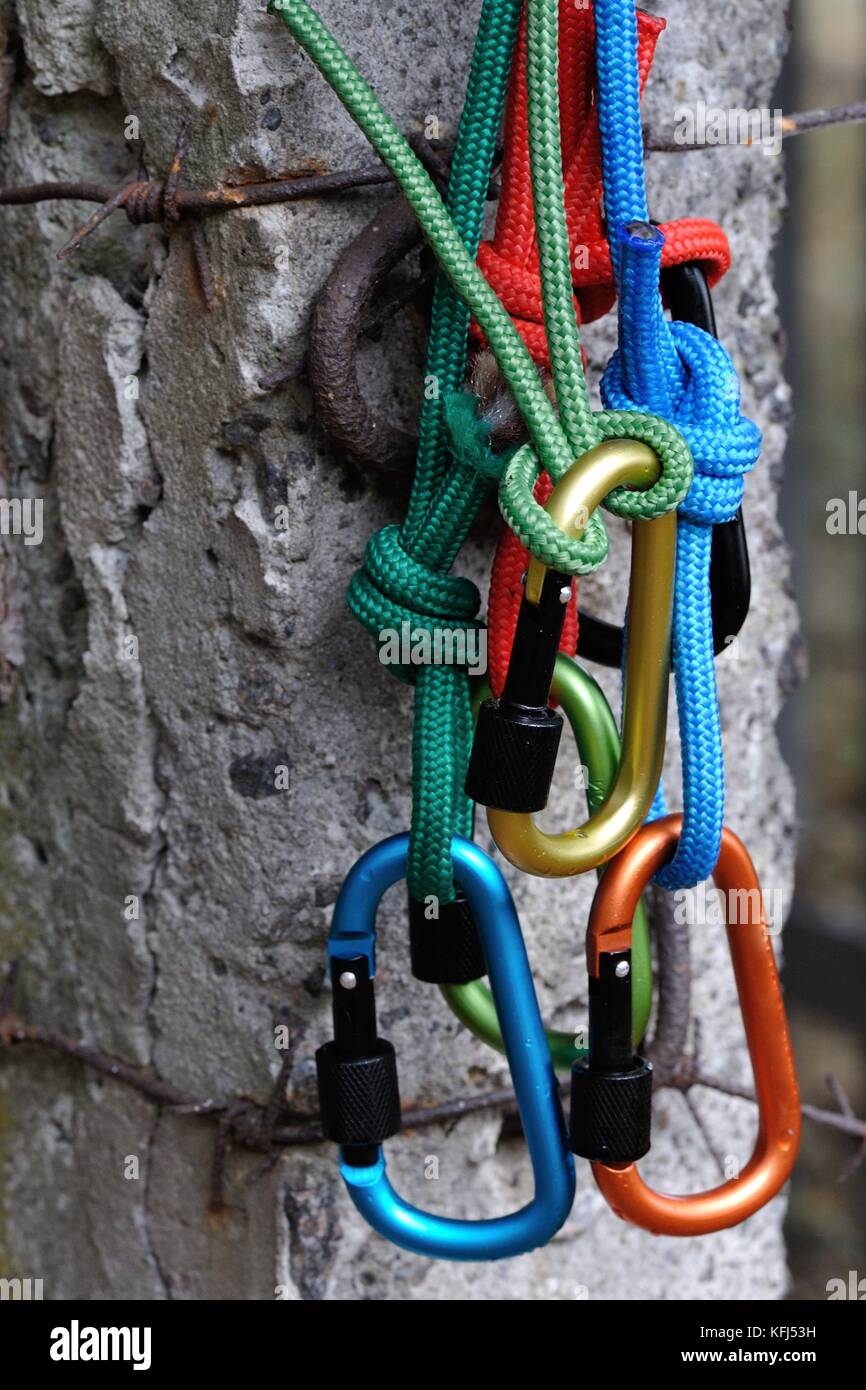 Carabiner with rope on nature background. Climbing uquipment.Climbing ...