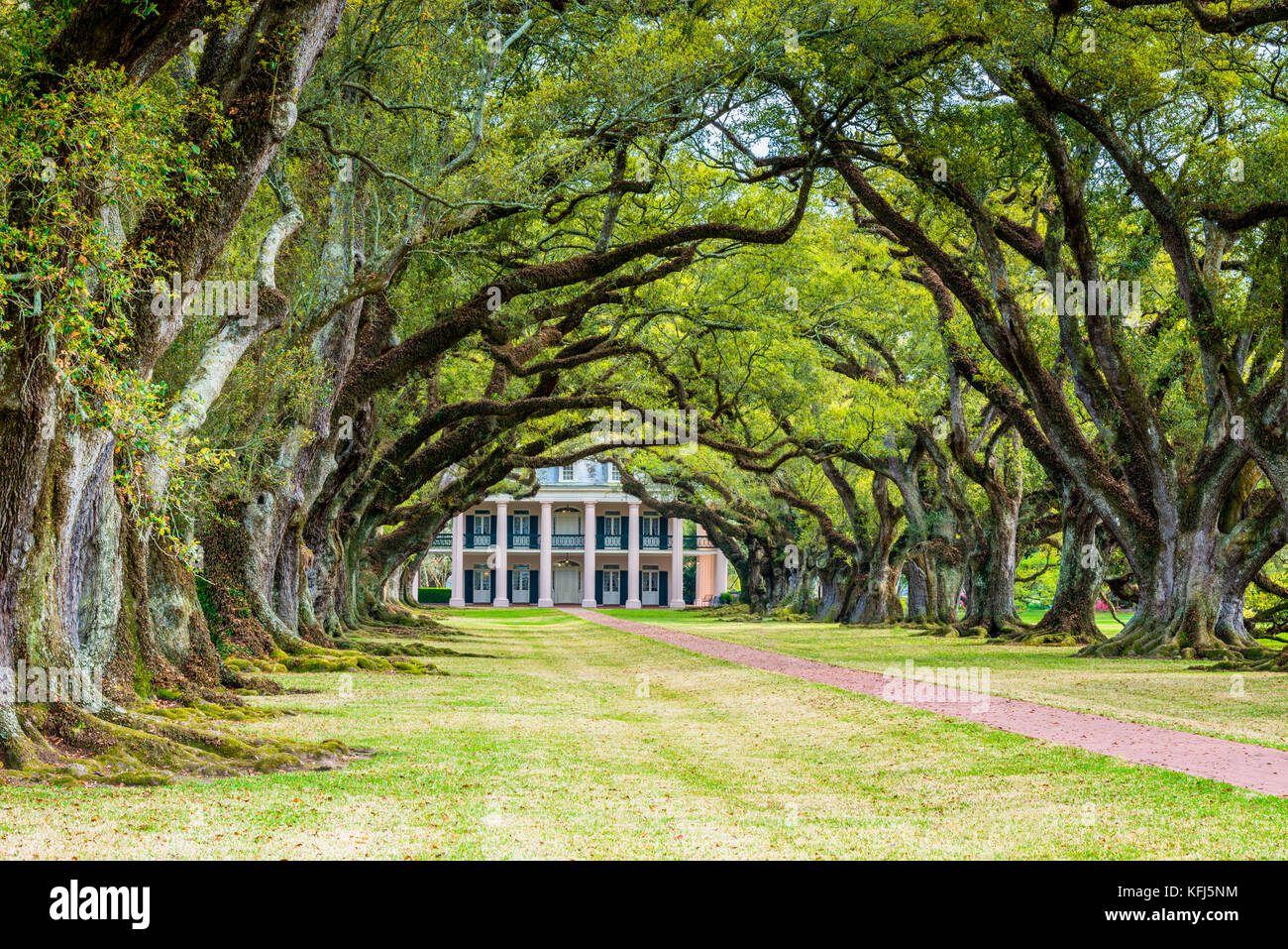 Oak Alley Plantation, a plantation and National Historic Landmark located near the Mississippi