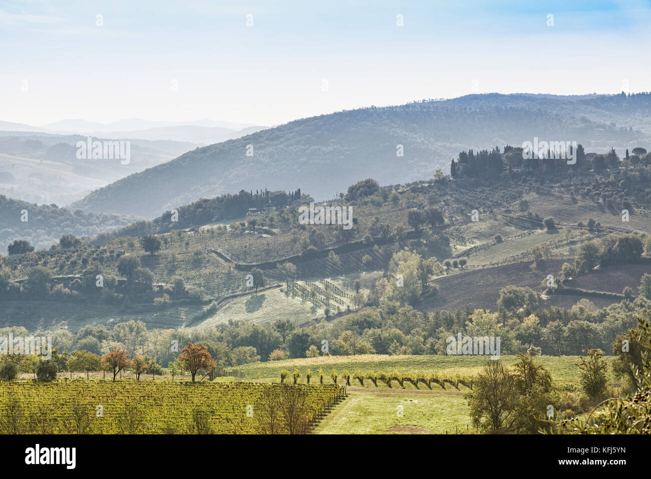 Beautiful morning over Castellina in Chianti with some fog between the hills with vineyards in Tuscany in Italy Stock Photo