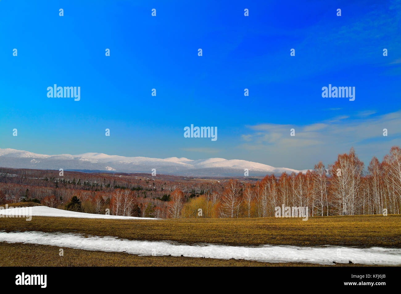 Bright spring panorama. The snow melts on the meadow, swollen buds on the trees.  Nature wakes up. On the background is the ridgeline of Kuznetsk Alat Stock Photo