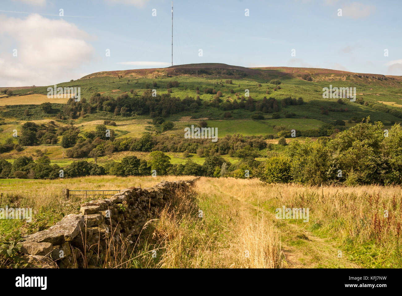 A scenic view of Bilsdale on the North Yorkshire Moors,England, with the transmitter in the background Stock Photo