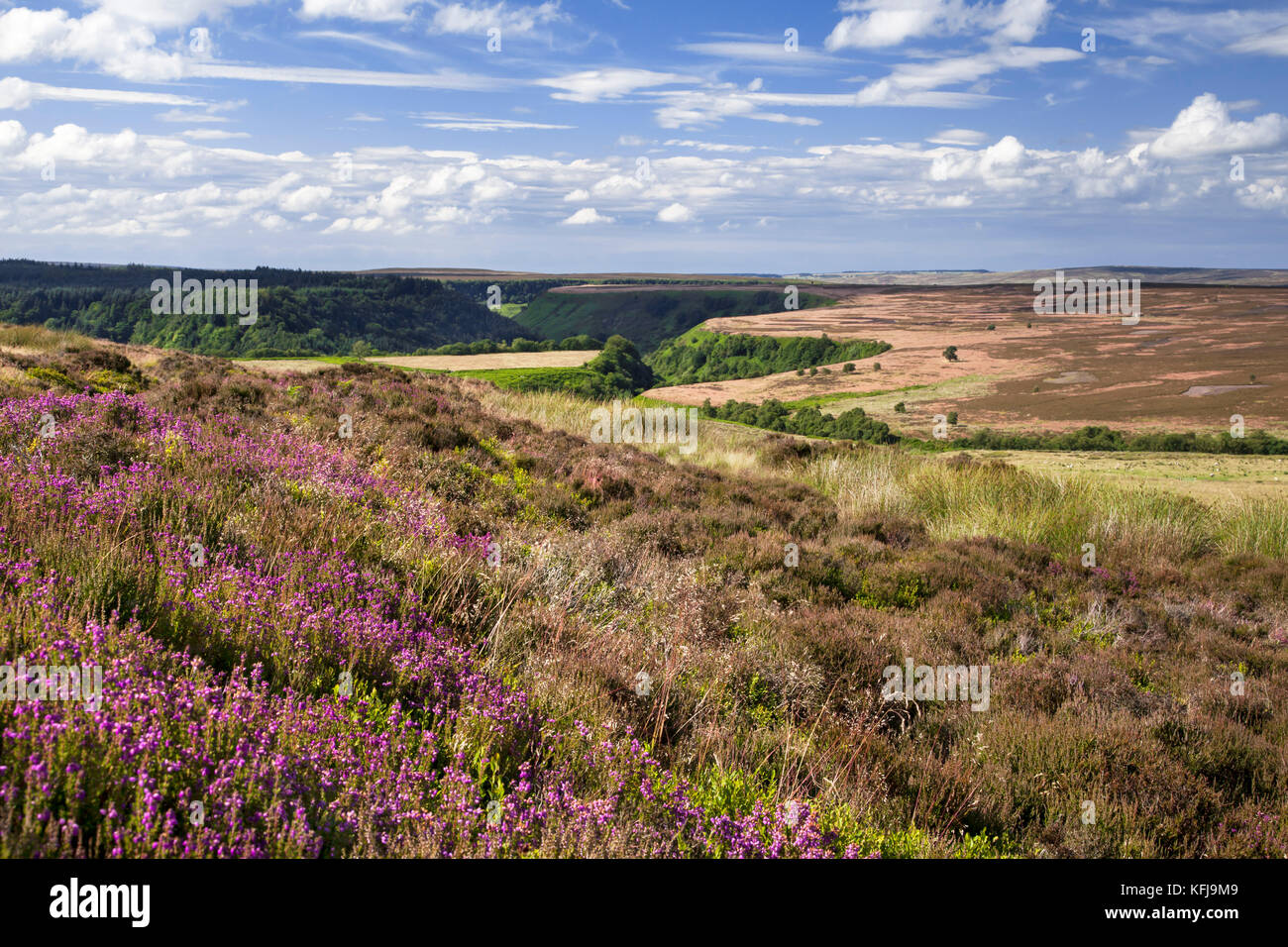 North Dale and Fen Moor from Levisham Moor North York Moors national park North Yorkshire Stock Photo