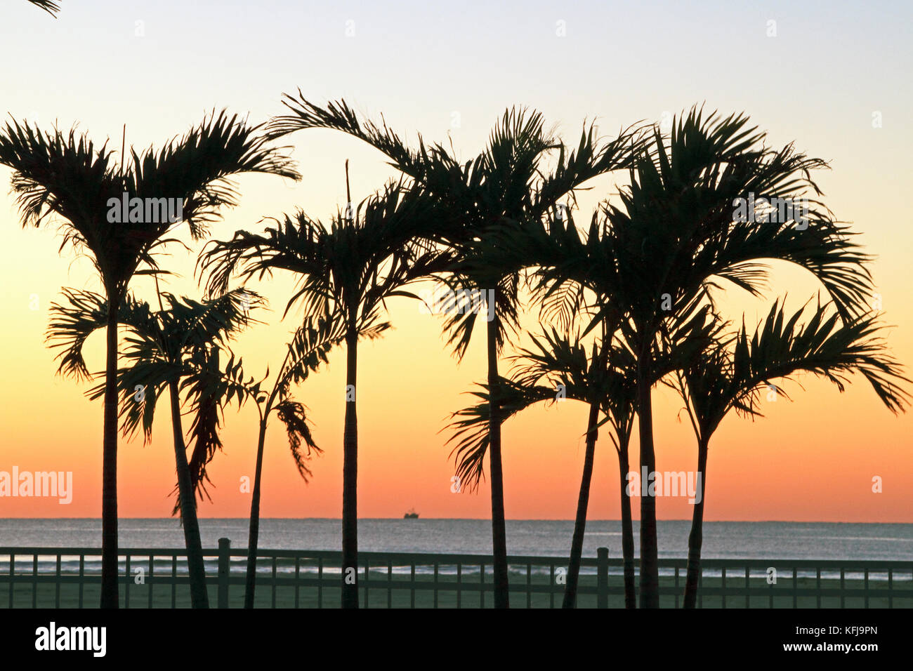 Sunrise at Diamond Beach viewed through the palm trees at the Icona Resort, New Jersey, USA