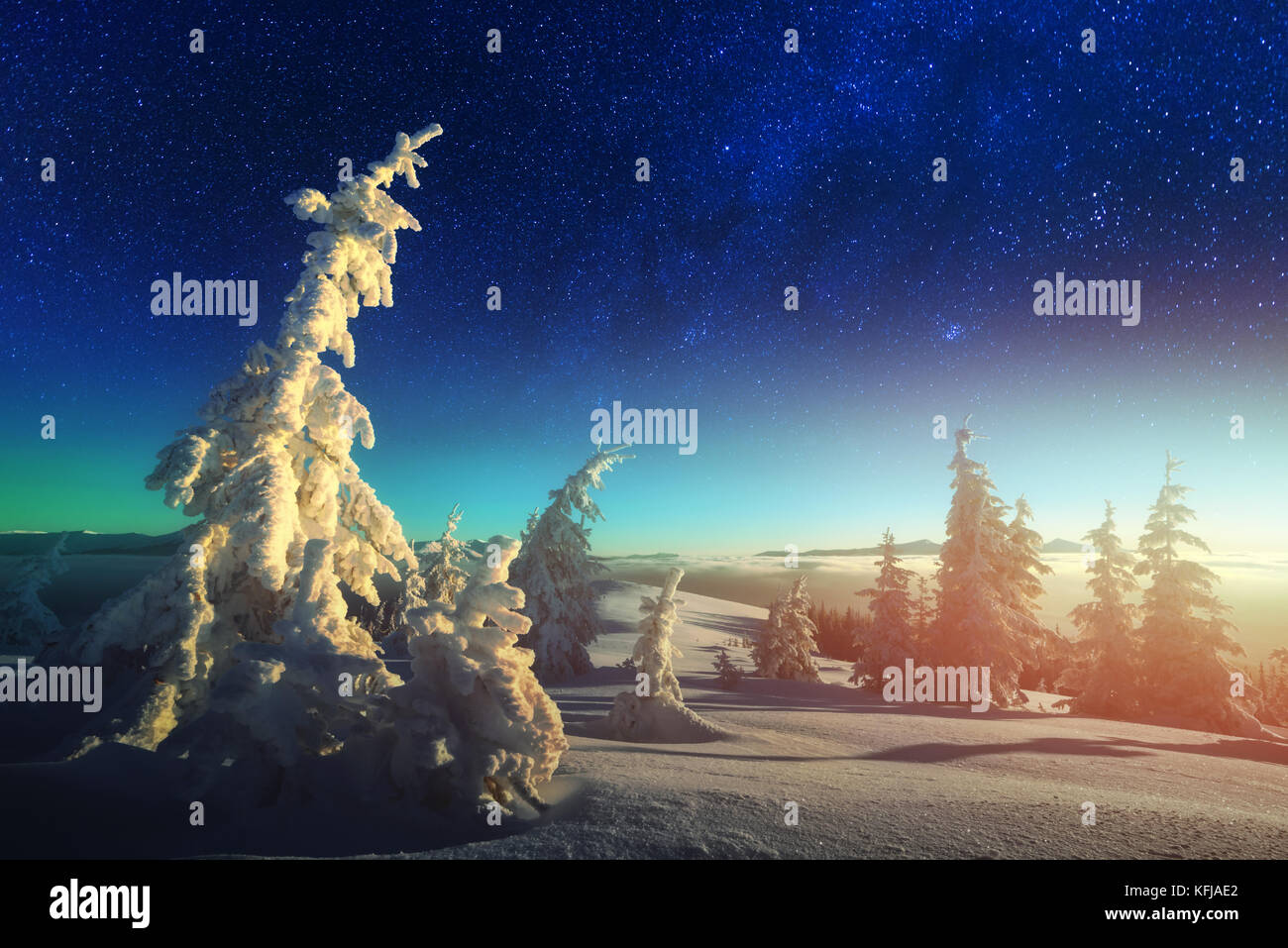 Wintry scene with snowy trees Stock Photo - Alamy