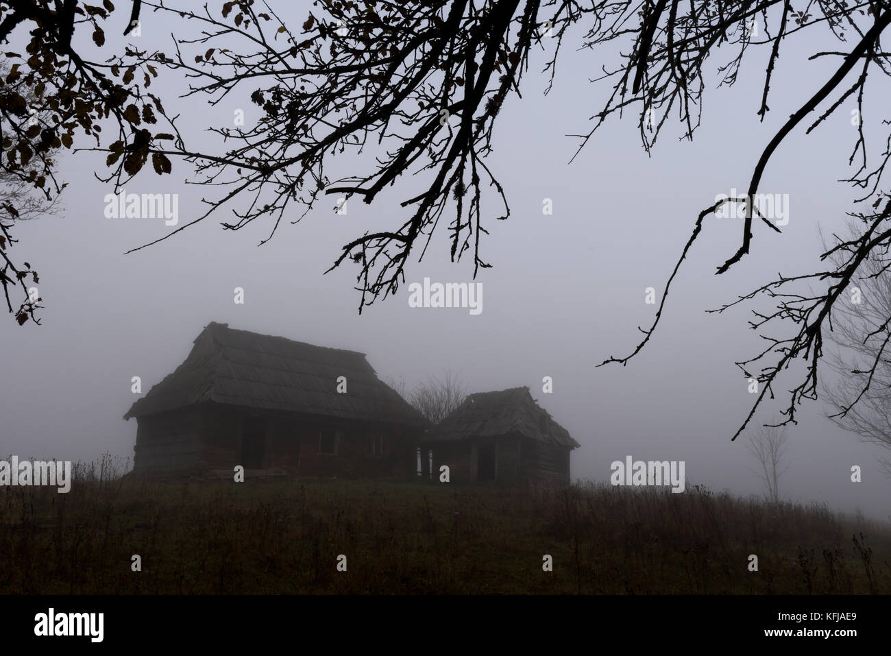 Alone house on foggy meadow Stock Photo