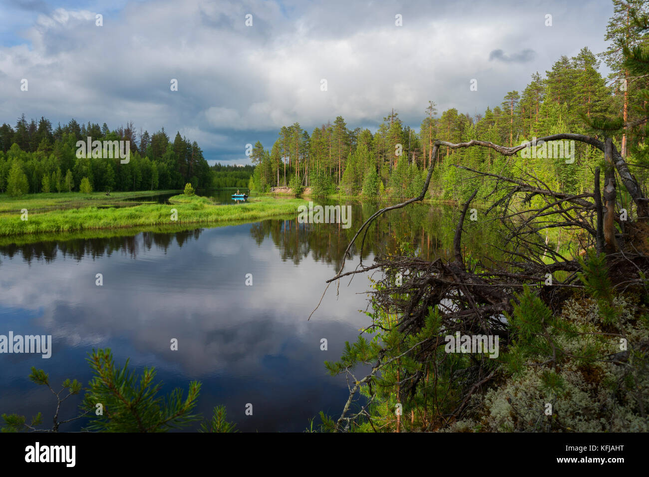 Beautiful river in the forest Stock Photo - Alamy