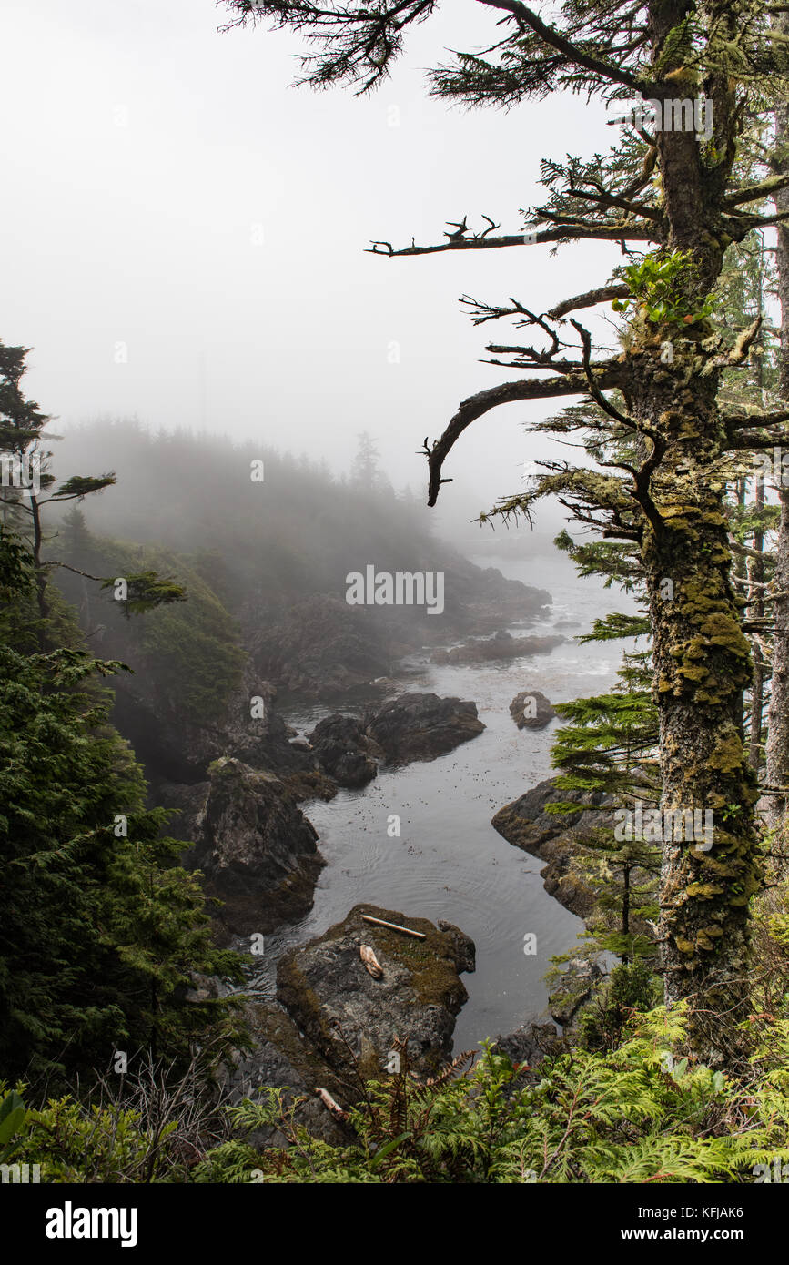 Mist rolling in at Ucluelet, Vancouver Island Stock Photo