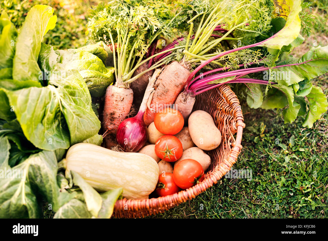 Basket full of vegetables in the backyard garden Stock Photo - Alamy