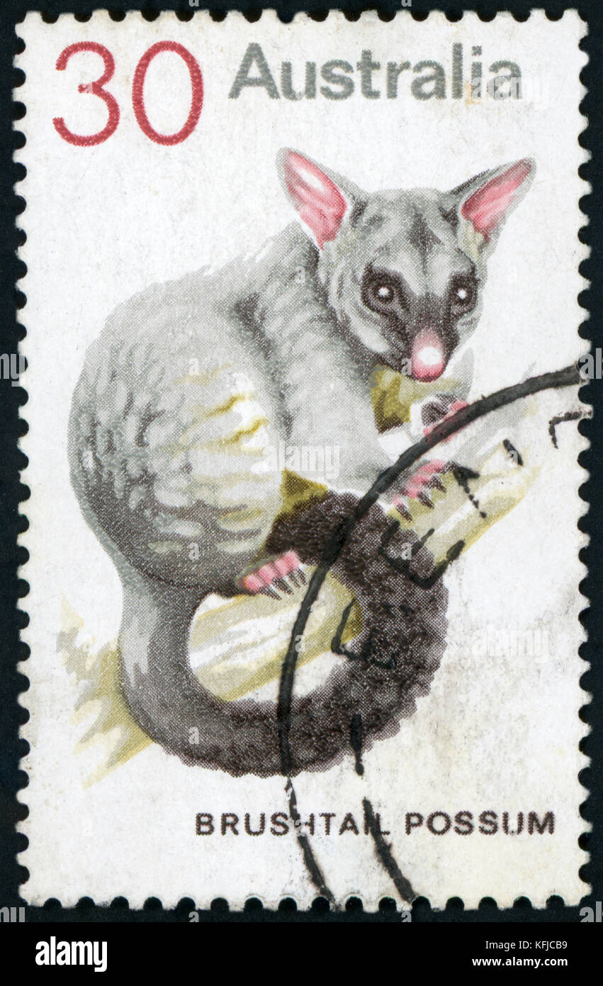 Postage stamp ( Australia - Possum ) Stock Photo