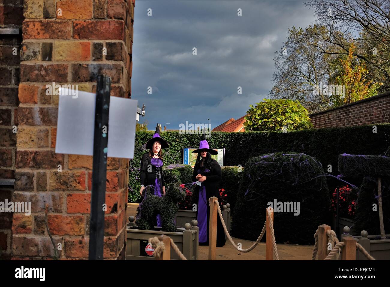 witches and wizards Stock Photo - Alamy