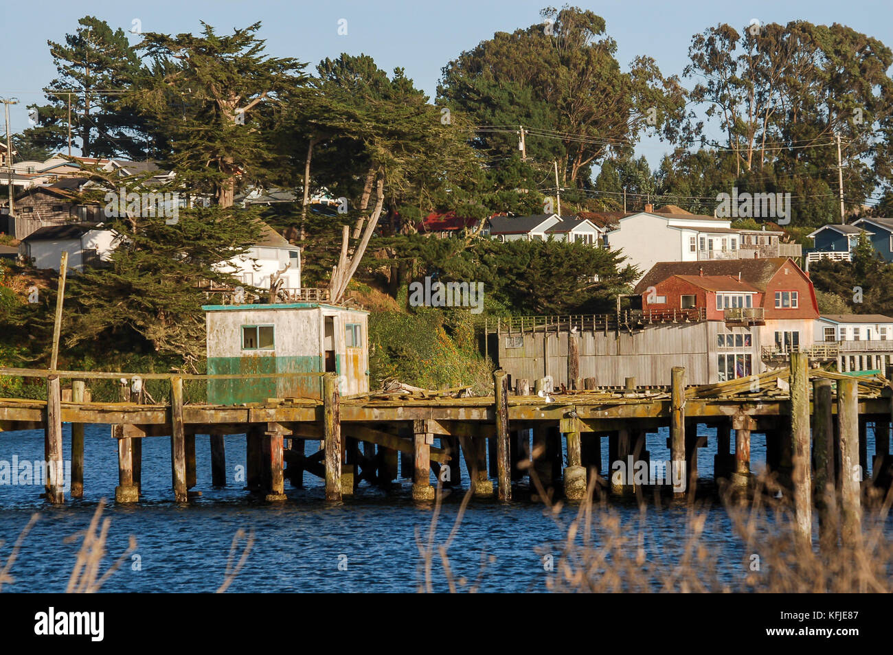 Lakeside shed on a jetty, with houses and trees in the background, near