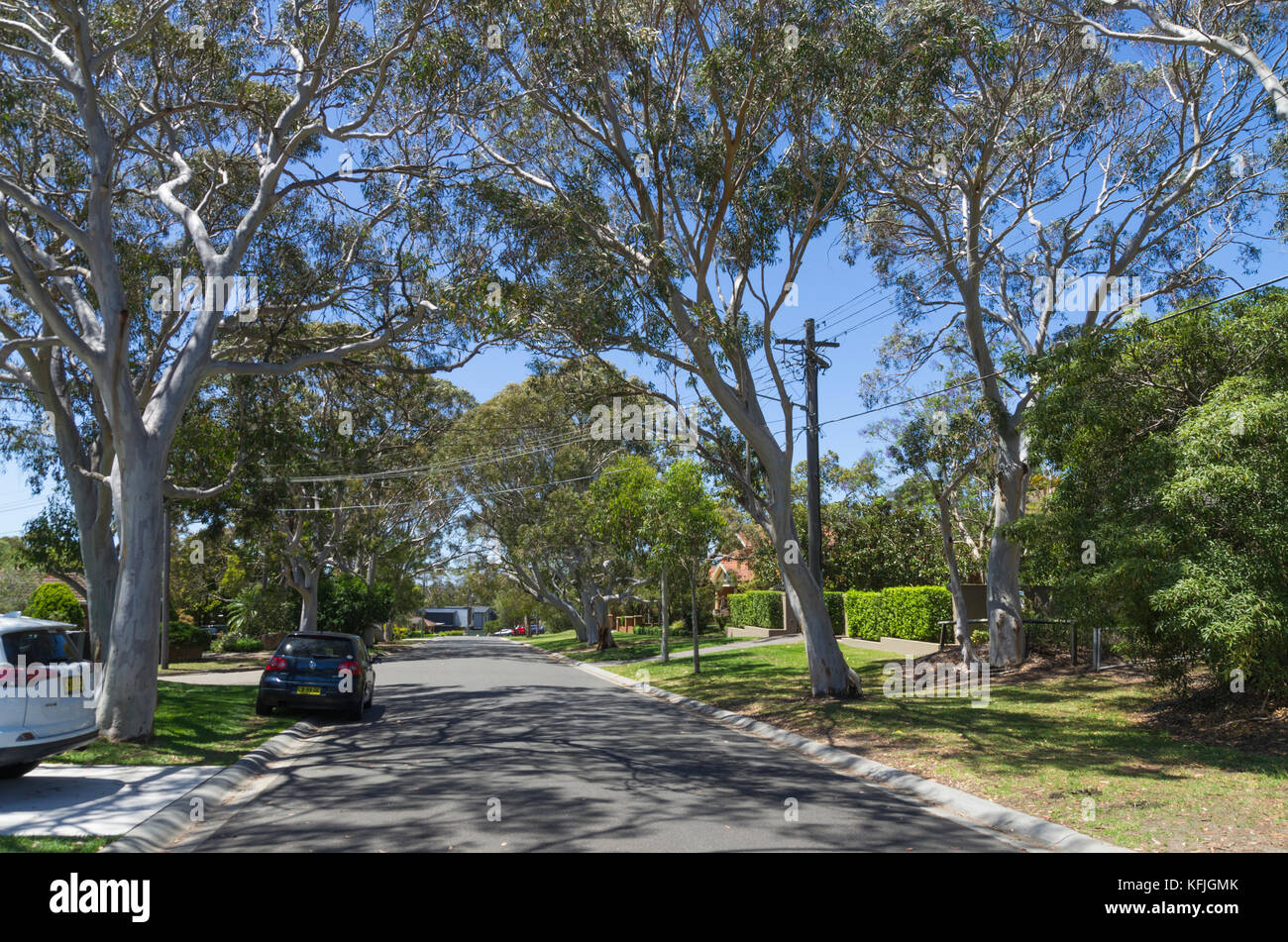 Rawson Parade, Caringbah, Sutherlandshire, South Sydney, NSW, Australia Stock Photo