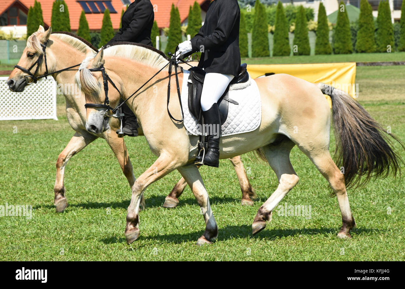 Two women are horseback riding at the meadow Stock Photo - Alamy