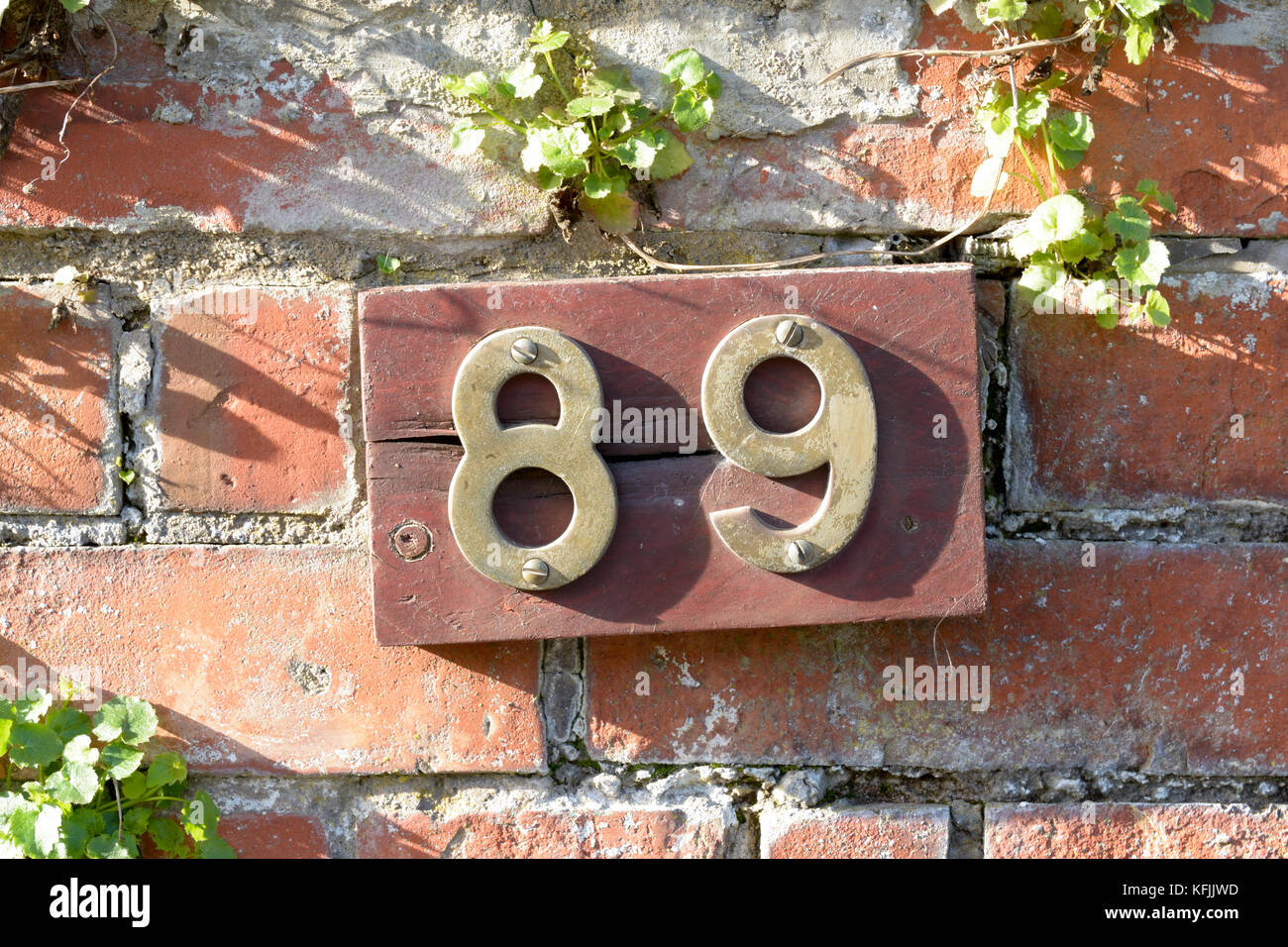 House number 89 sign on wall Stock Photo