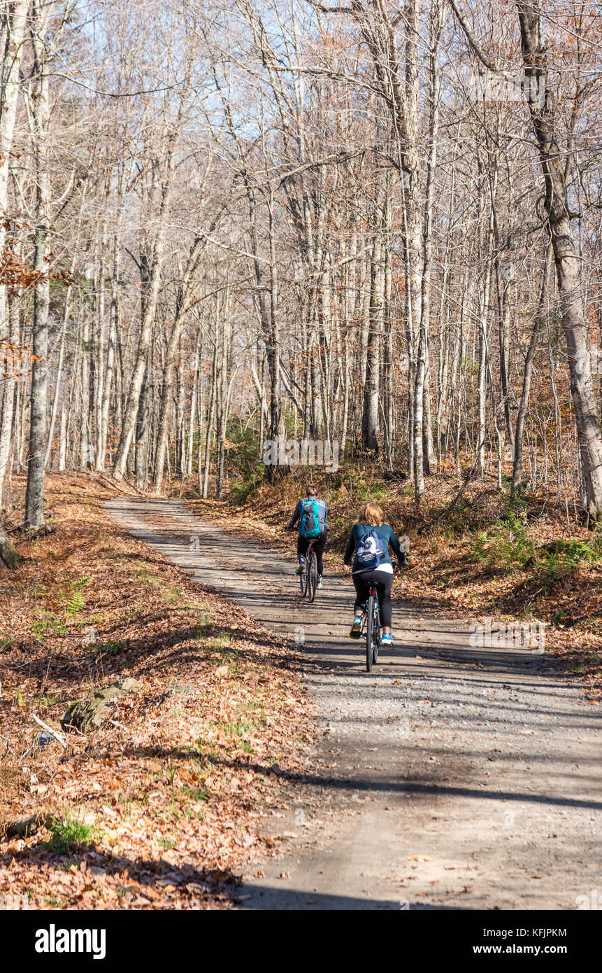 two bicycle riders on the road through the wilderness at santanoni great camp Stock Photo
