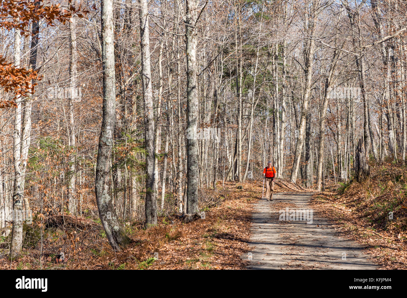 man with an orange sweater walking on the road through the wilderness at santanoni great camp Stock Photo