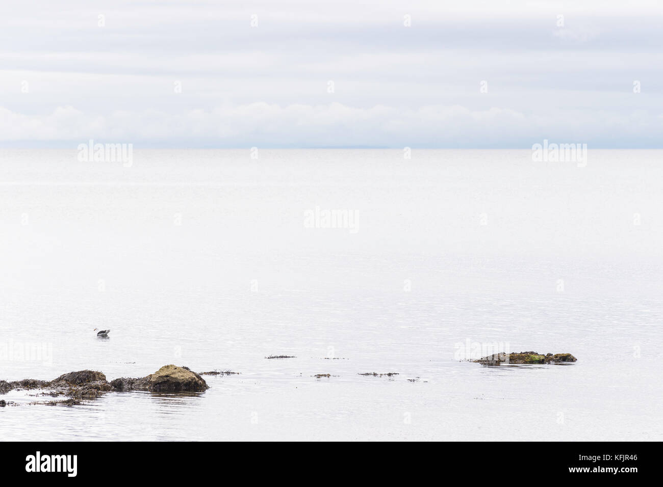 seascape from the Dunrobin Castle waterfront Stock Photo Alamy