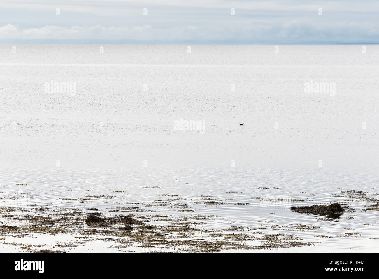 seascape from the Dunrobin Castle waterfront Stock Photo Alamy