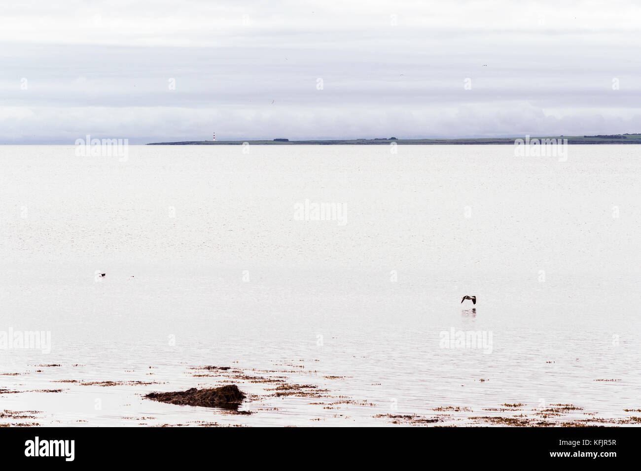 seascape from the Dunrobin Castle waterfront Stock Photo Alamy