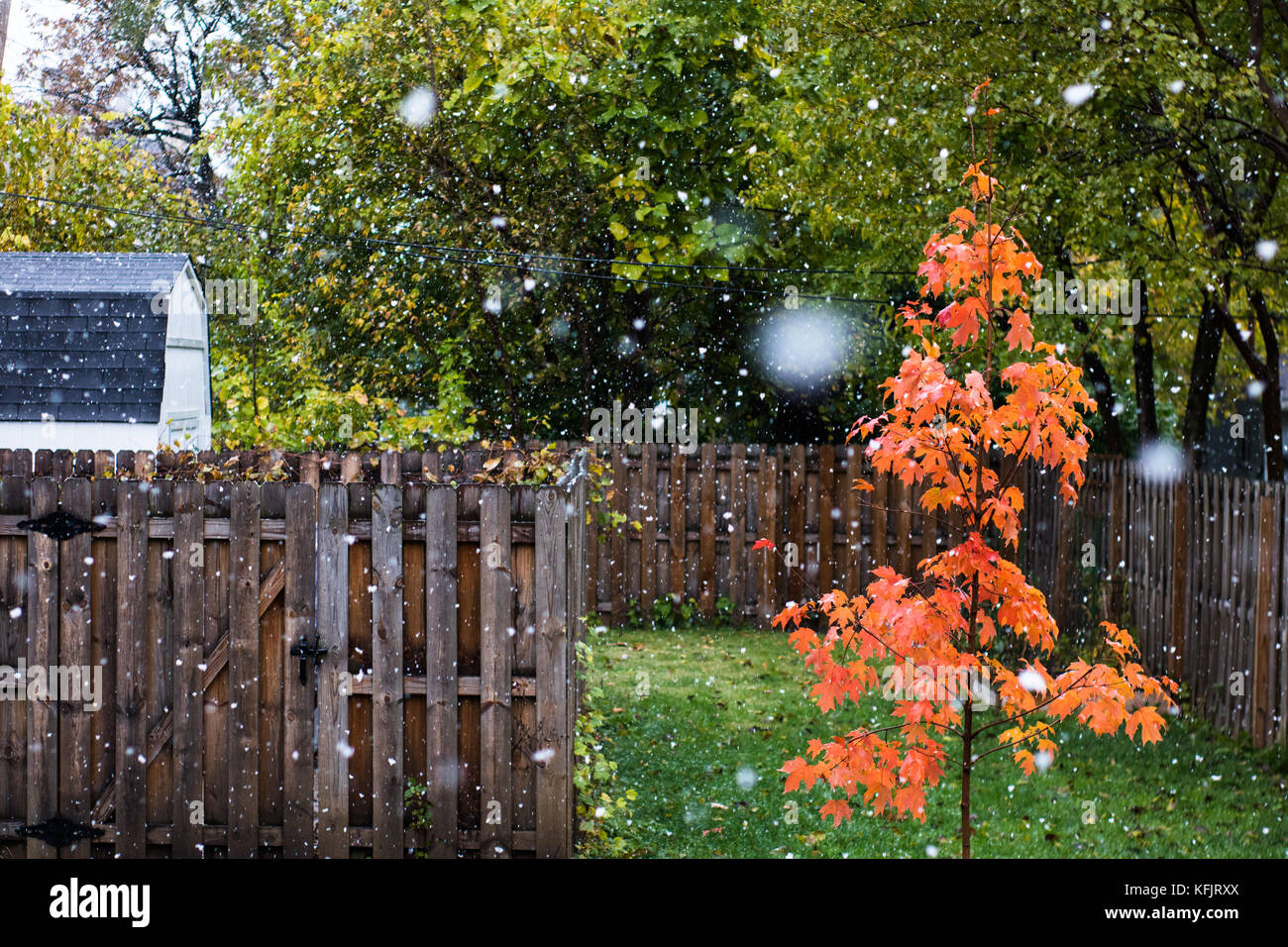 First snow in Ohio Stock Photo Alamy