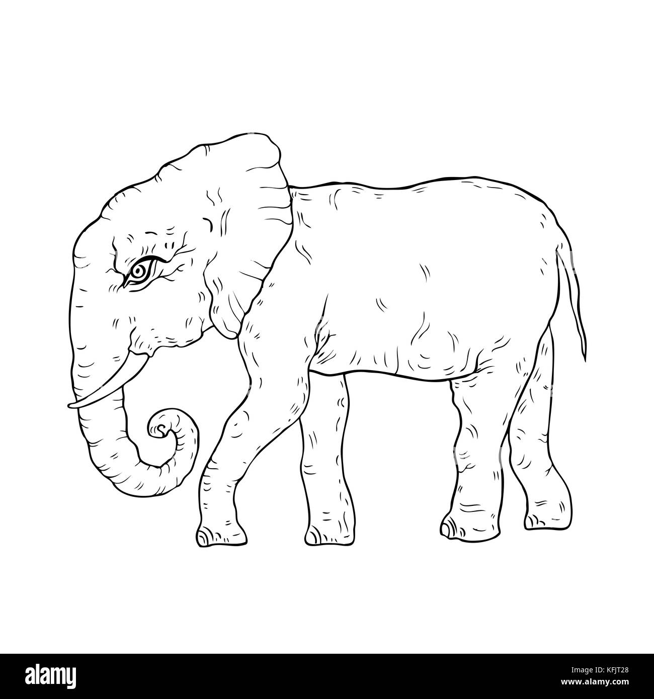 Elephant. Hand drawn Vector illustration, White background Stock Vector ...