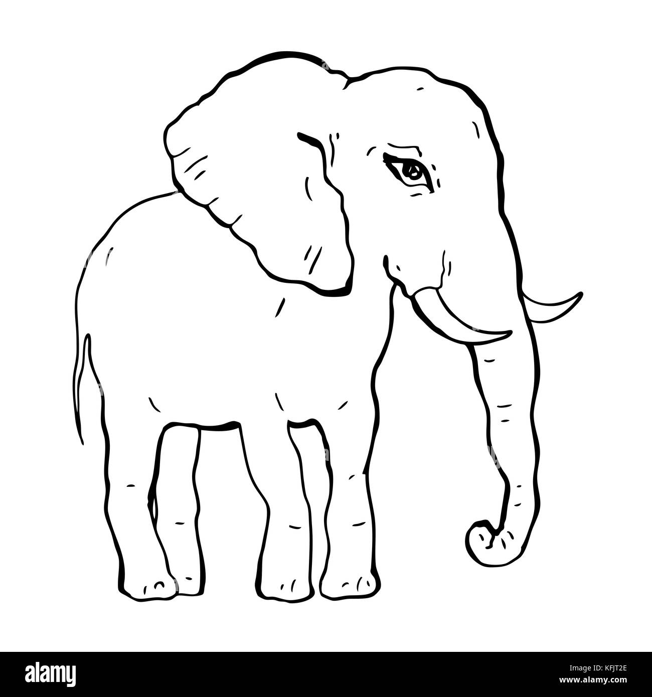 Elephant. Hand drawn Vector illustration, White background Stock Vector ...