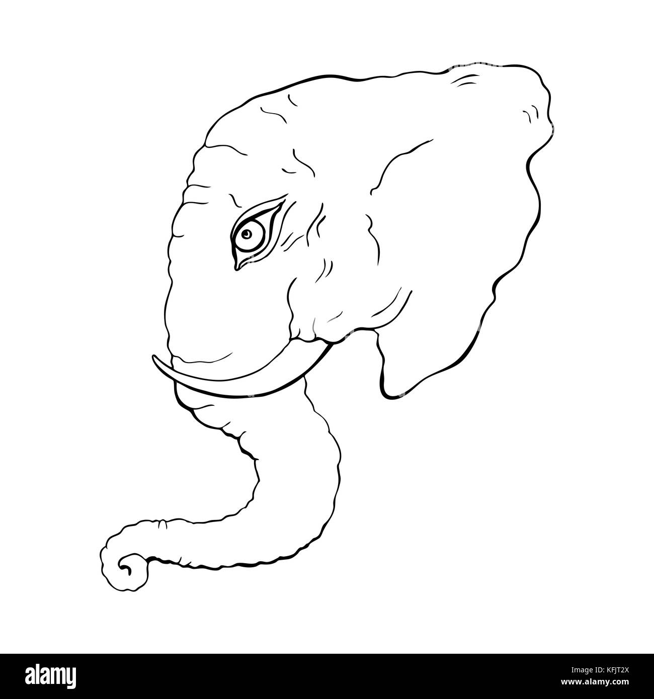 Head of elephant. Hand drawn Vector illustration Stock Vector Image ...