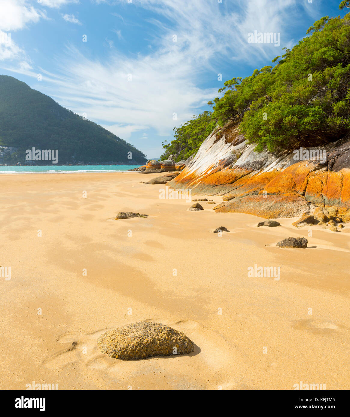 Australian beach at Sealers Cove, Wilsons Promontory National Park
