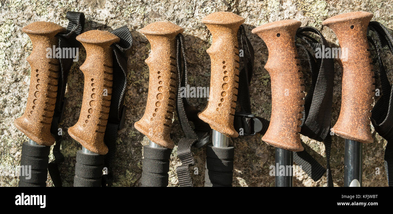Hiking poles outdoor equipment on the hiking trail Stock Photo Alamy