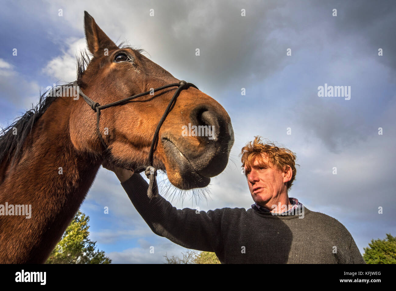 Close up portrait of horse whisperer / natural horsemanship practitioner holding brown horse outdoors Stock Photo