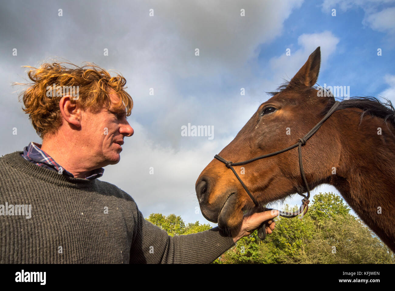 Close up portrait of horse whisperer / natural horsemanship practitioner holding brown warmblood horse outdoors Stock Photo