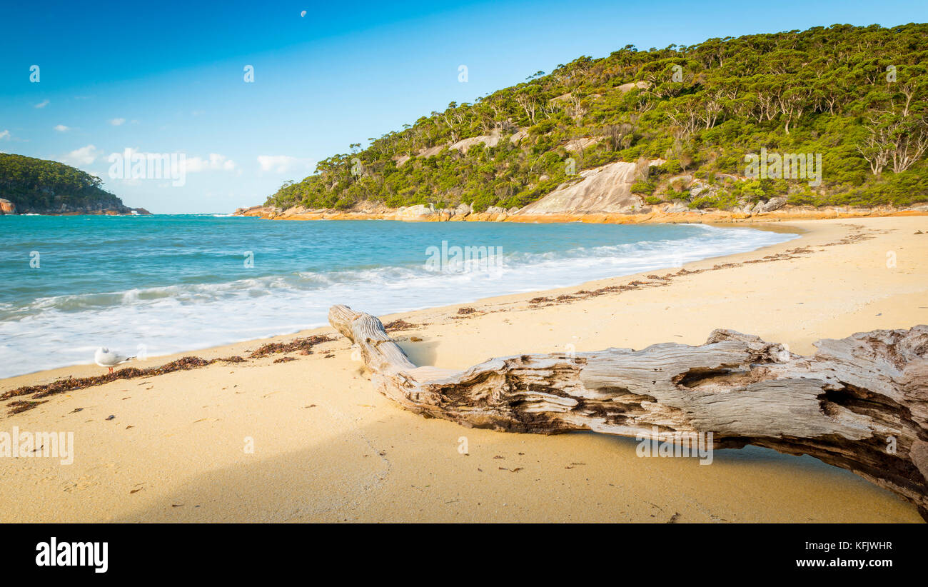 Refuge cove hires stock photography and images Alamy
