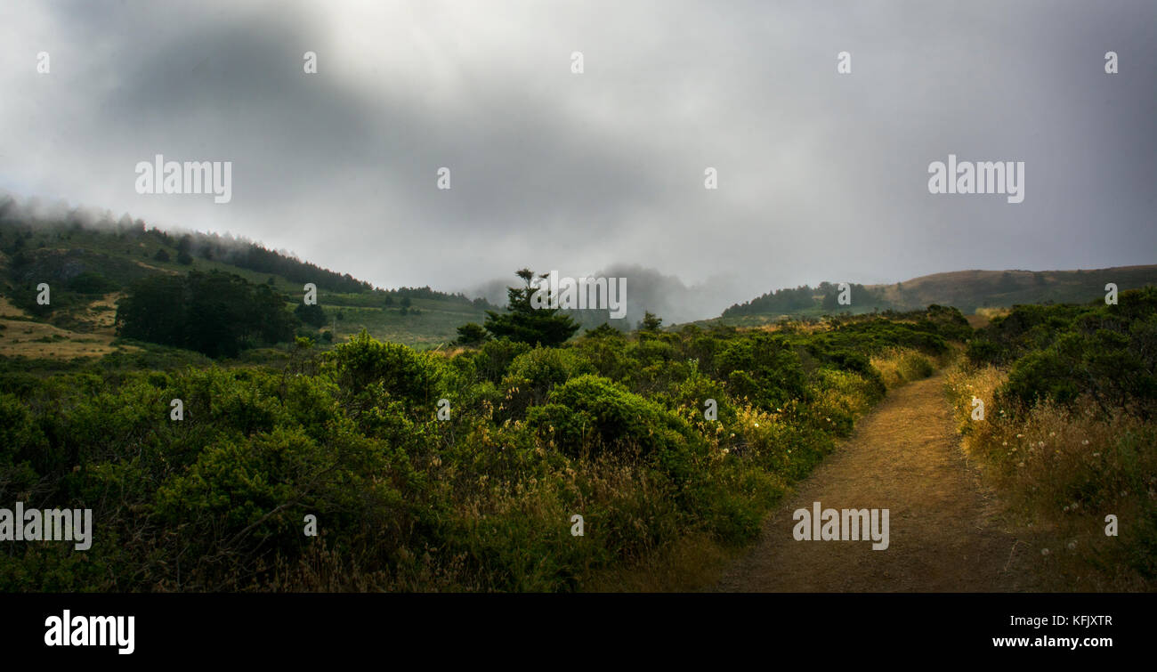 Dipsea Trail near Stinson Beach, Mount Tamalpais State Park, California