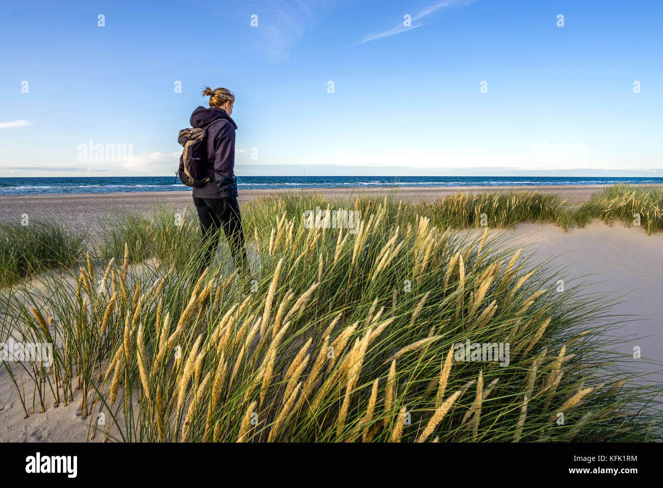 Young woman hiking in coastal dune grass at beach of North Sea. Stock Photo