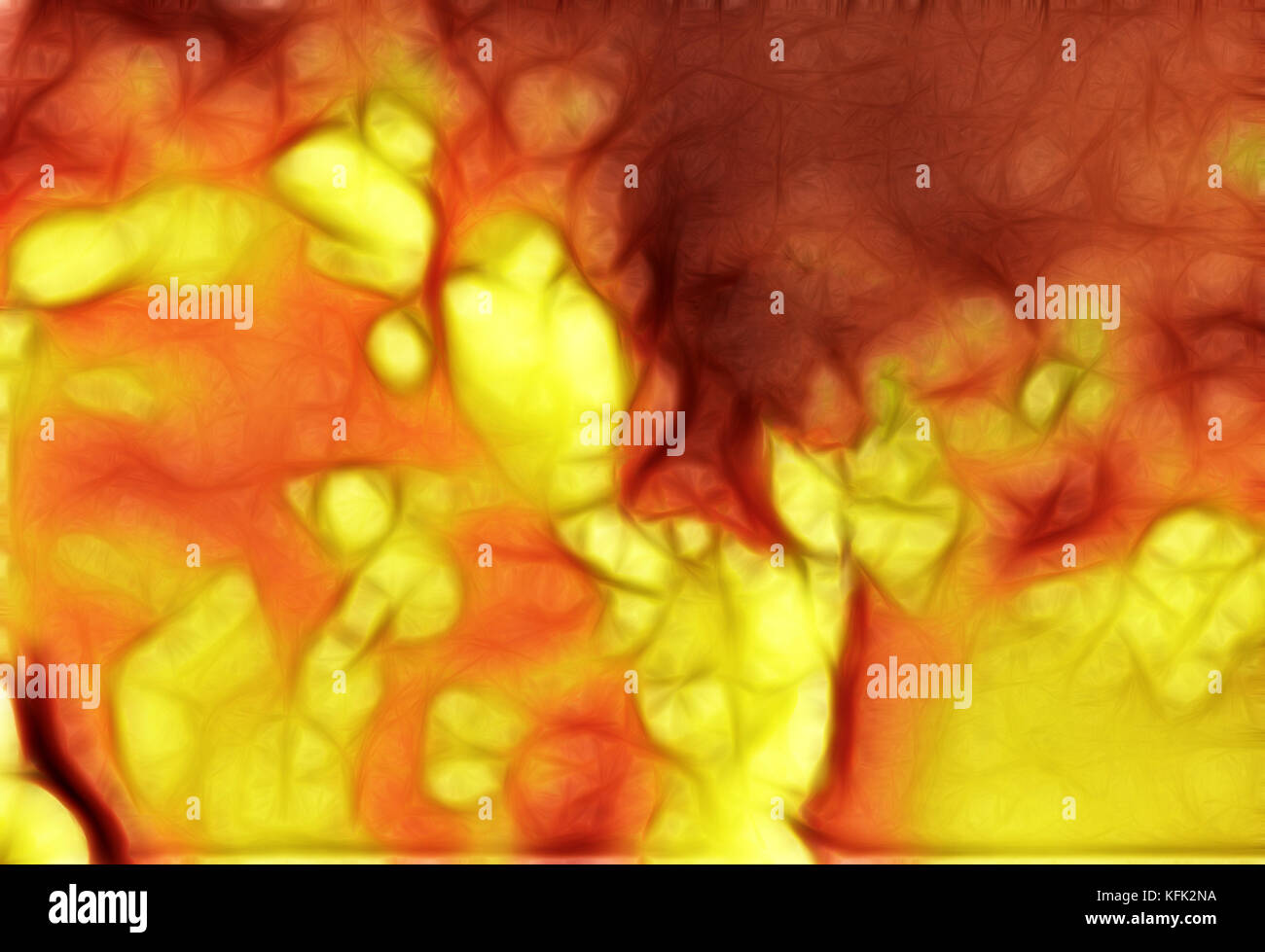 Microbes pattern hi-res stock photography and images - Alamy