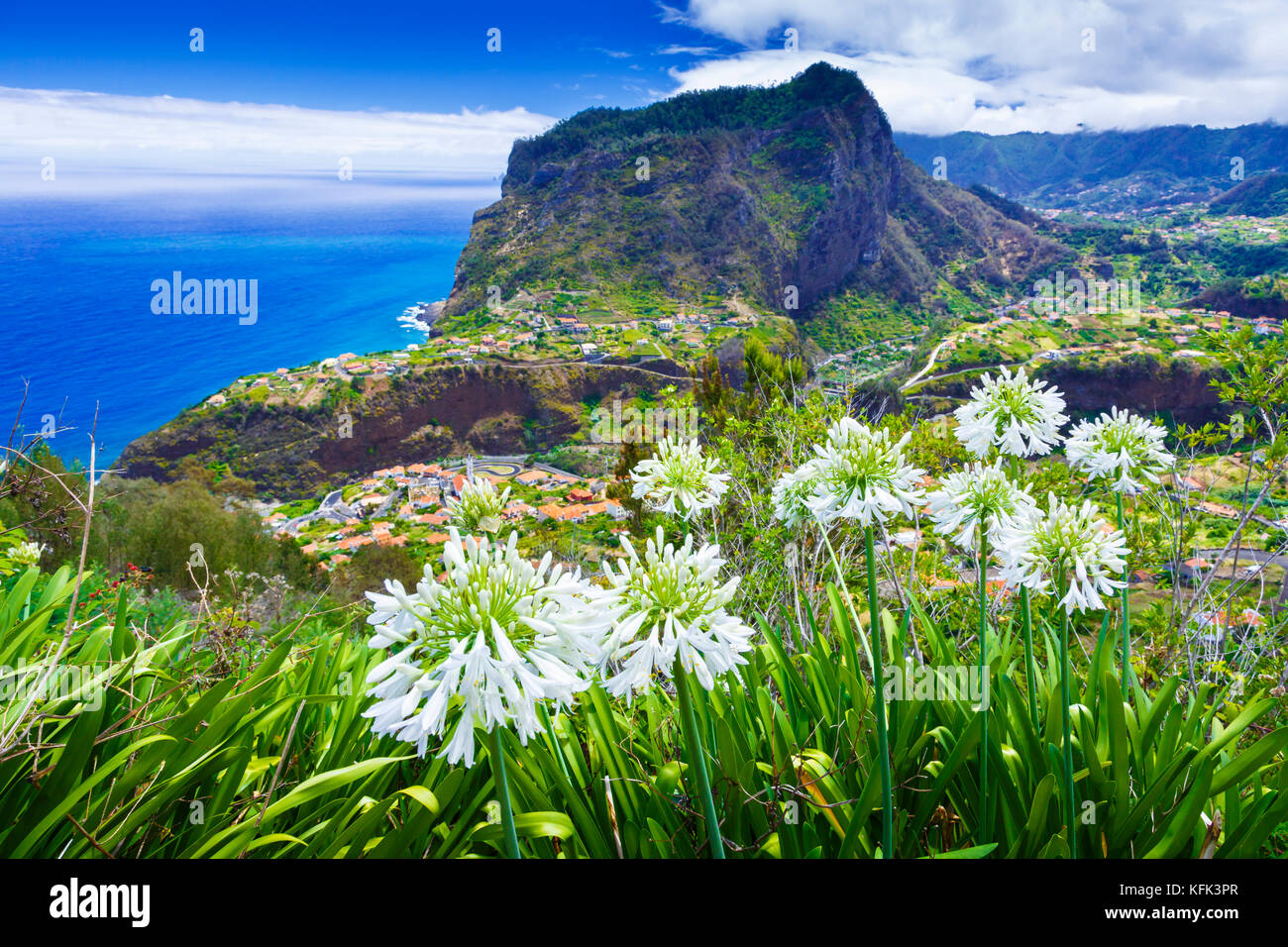 Agapanthus flowers and coastal landscape. Stock Photo