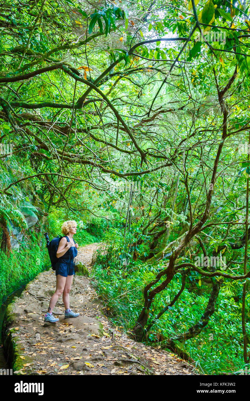 Forest path in laurel hi-res stock photography and images - Alamy