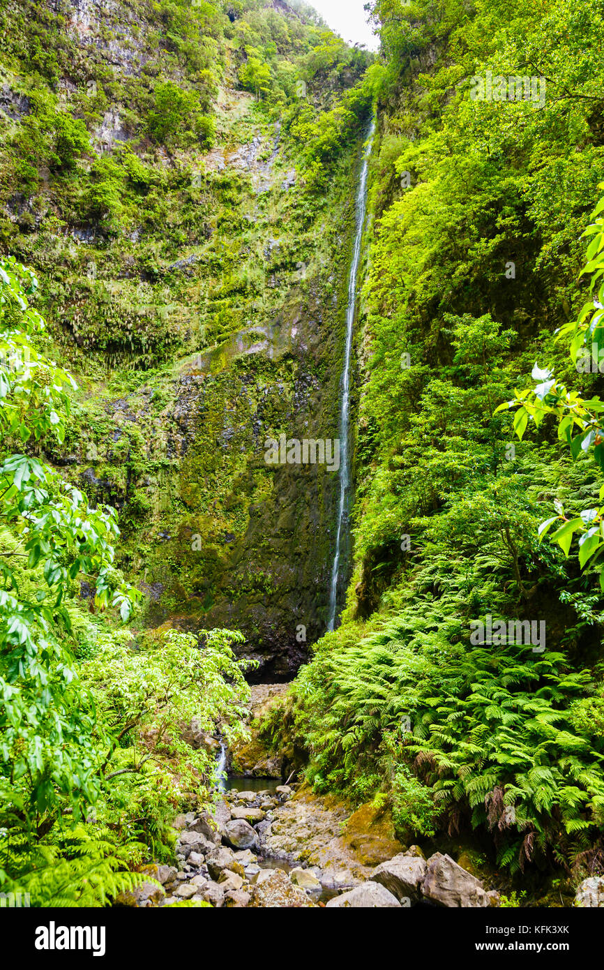 Waterfall. Stock Photo