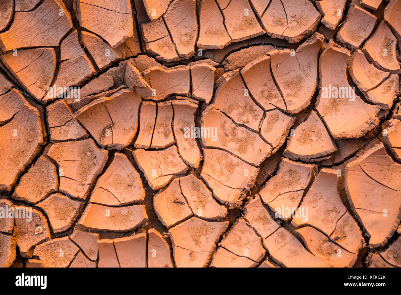 Red mud in a small canyon in the desert of Southern Utah. The mud was wet from a flash flood, now drying in the desert heat and cracking up in layers Stock Photo