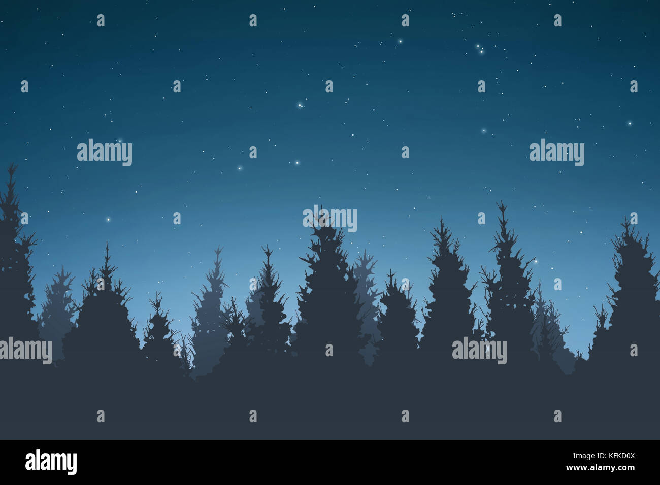 Silhouette of pine trees at night for backdrop Stock Photo