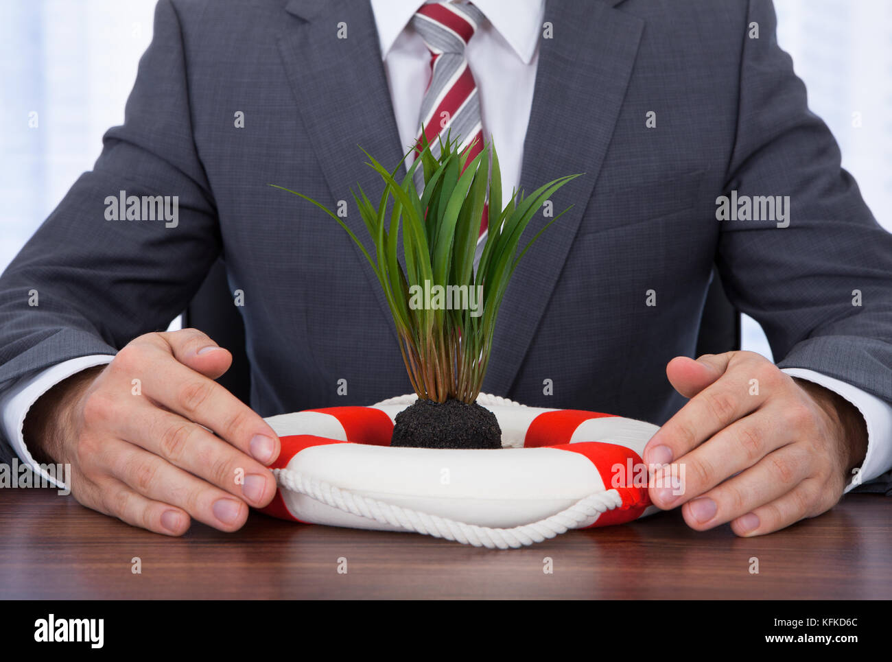 Midsection of businessman protecting saplings with lifebuoy at desk Stock Photo