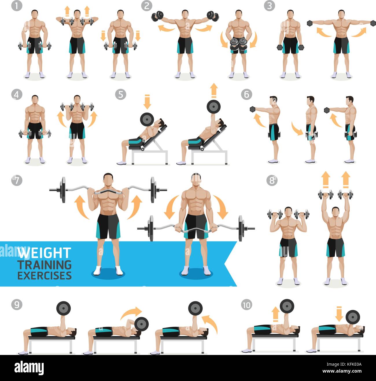 Dumbbell Exercises and Workouts Weight Training. Vector Illustration Stock  Vector Image & Art - Alamy