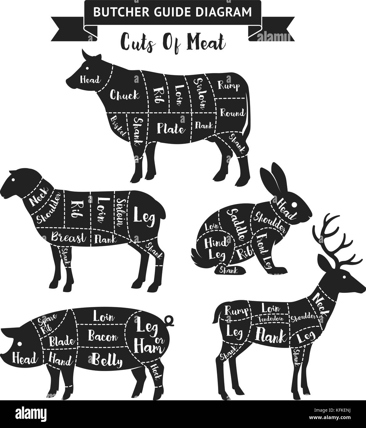 Illustrations for butcher shop. Cutting lines of different parts of domestic animals. Vector Stock Vector